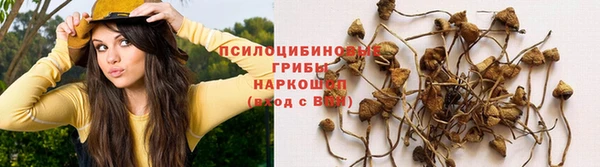 МДМА Дмитриев