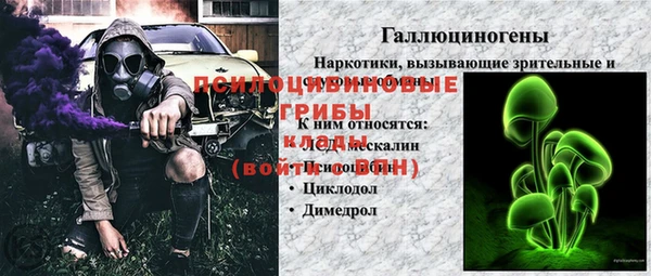 молекула духа Дмитровск