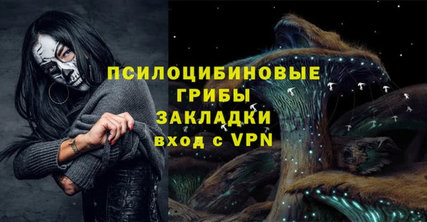 молекула духа Дмитровск