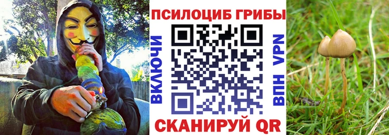 цена наркотик  Керчь  Псилоцибиновые грибы ЛСД 